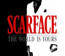 image-https://media.senscritique.com/media/000011464149/0/scarface_the_world_is_yours.jpg
