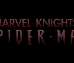 image-https://media.senscritique.com/media/000011467505/0/marvel_knights_spider_man.jpg