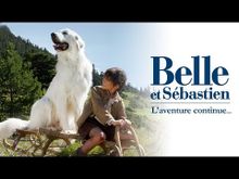 https://media.senscritique.com/media/000011475724/220/belle_et_sebastien_l_aventure_continue.jpg