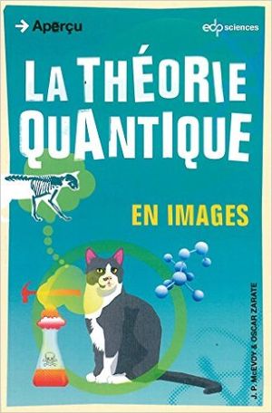 La théorie quantique en images