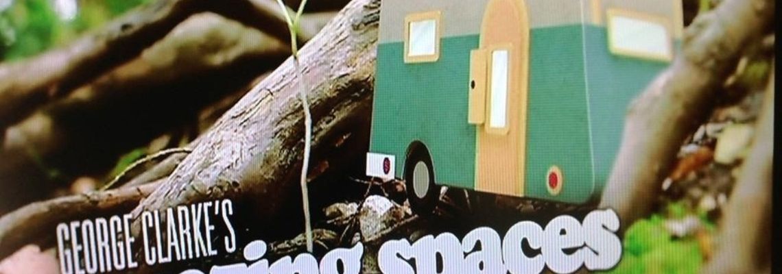 Cover George Clarke's Amazing Spaces