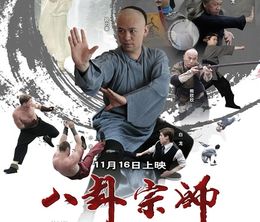 image-https://media.senscritique.com/media/000011497733/0/the_kungfu_master.jpg