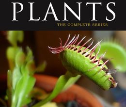 image-https://media.senscritique.com/media/000011513736/0/the_private_life_of_plants.jpg