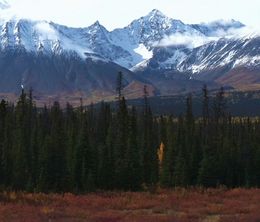 image-https://media.senscritique.com/media/000011514479/0/buying_the_yukon.jpg