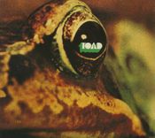 Pochette Toad Pochette Toad