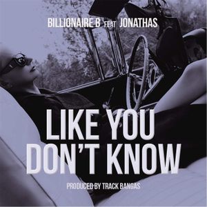 Like You Dont Know (Single)