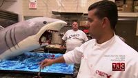 Shark Cake, Scooter & Smelly Fish