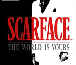 image-https://media.senscritique.com/media/000011525723/0/scarface_the_world_is_yours.jpg