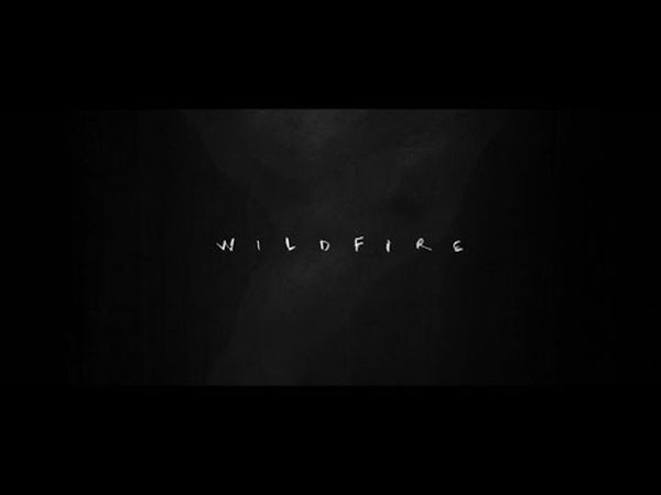 Wildfire