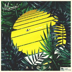 Aloha (The Geeks x Vrv remix)