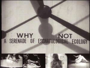 Why Not: A Serenade of Eschatological Ecology