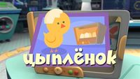 Chick