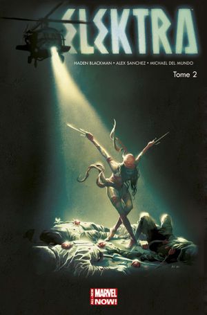 Mort à la Guilde des Assassins - Elektra (2014) tome 2