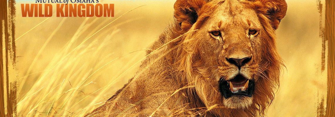Cover Mutual Of Omaha's Wild Kingdom