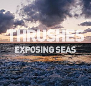 Exposing Seas