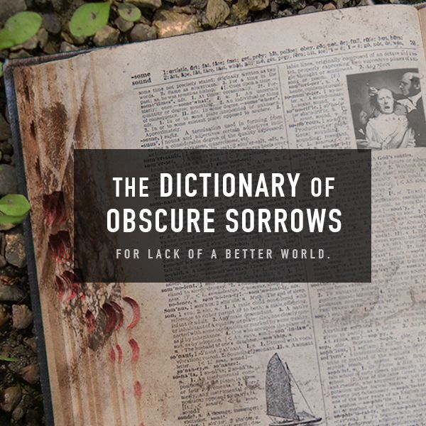 The Dictionary of Obscure Sorrows