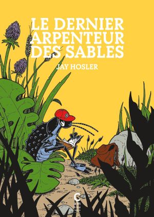 Le Dernier Arpenteur des sables