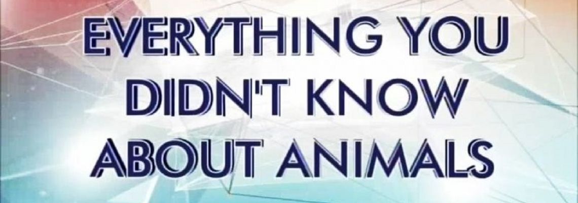 Cover Everything You Didn't Know About Animals