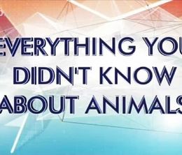 image-https://media.senscritique.com/media/000011639155/0/everything_you_didn_t_know_about_animals.jpg