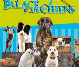 image-https://media.senscritique.com/media/000011688386/0/palace_pour_chiens.jpg