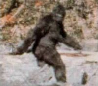 Bigfoot