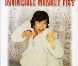 image-https://media.senscritique.com/media/000011708903/0/invincible_monkey_fist.jpg