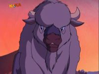 Yakari et le vieux bison