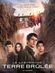 Affiche Le Labyrinthe - La terre brûlée
