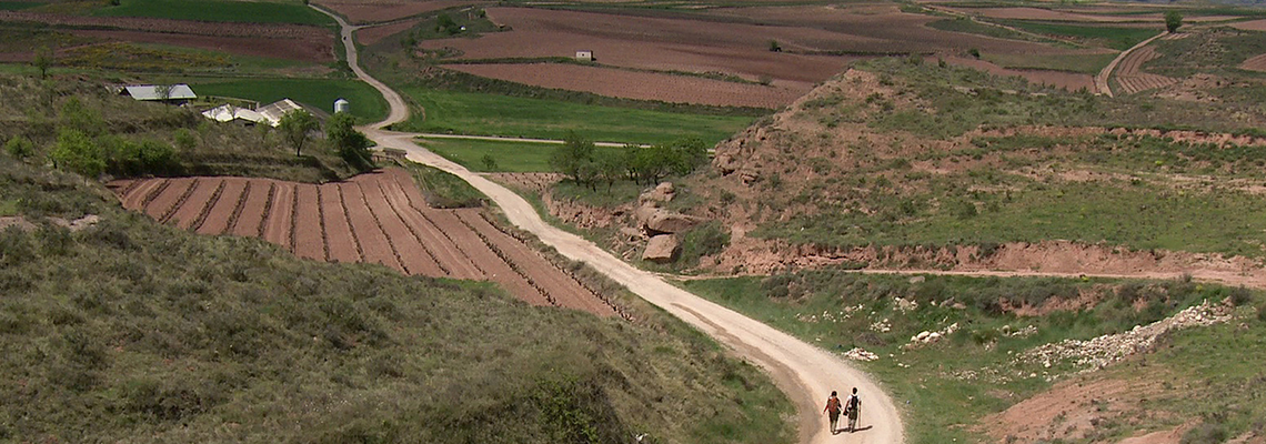 Cover Les Chemins de Compostelle