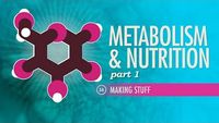 Metabolism & Nutrition, Part 1 - Making Stuff