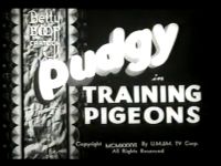 Training Pidgeons