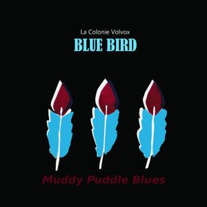 Blue Bird (Single)