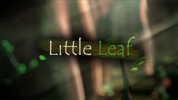 Little Leaf