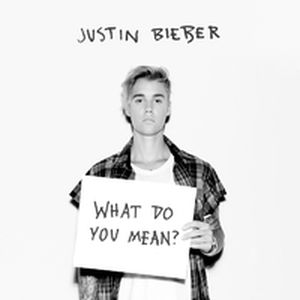 What Do You Mean? (Single)