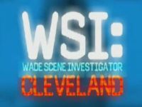 WSI