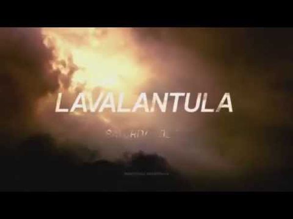 Lavalantula