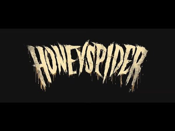 Honeyspider