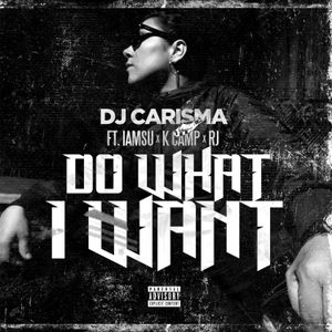 Do What I Want (Single)