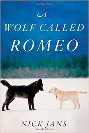 A Wolf Called Romeo