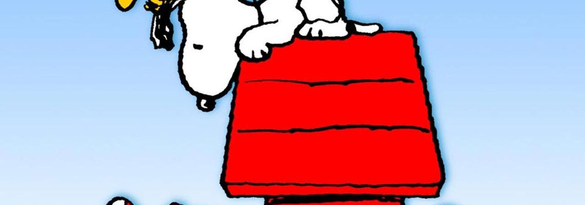 Cover The Charlie Brown and Snoopy Show