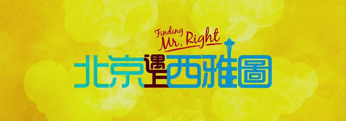 Cover Finding Mr. Right