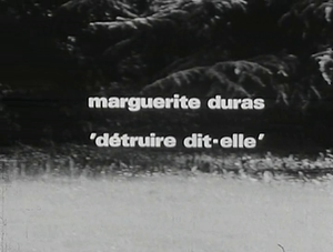 Marguerite Duras "Détruire dit-elle"