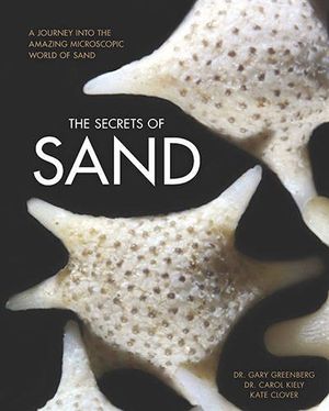 The Secrets of Sand: A Journey into the Amazing Microscopic World of Sand