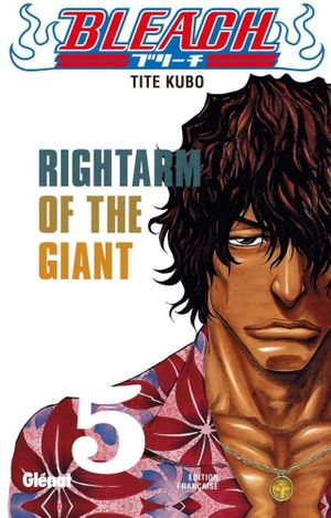 Rightarm of the Giant - Bleach, tome 5