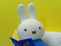 Miffy's Three Wishes