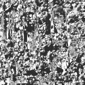 Ordered Image (EP)