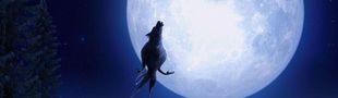 Cover Les meilleurs films de loups-garous