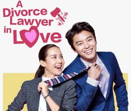 image-https://media.senscritique.com/media/000012090630/0/divorce_lawyer_in_love.jpg