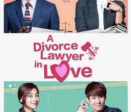 image-https://media.senscritique.com/media/000012090632/0/divorce_lawyer_in_love.jpg
