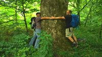 Great Smoky: Big, Tiny, and Slimy